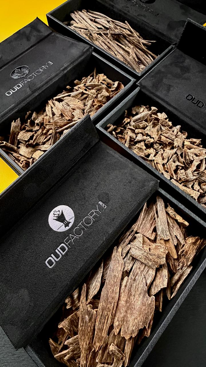 5 Tola Wood Box