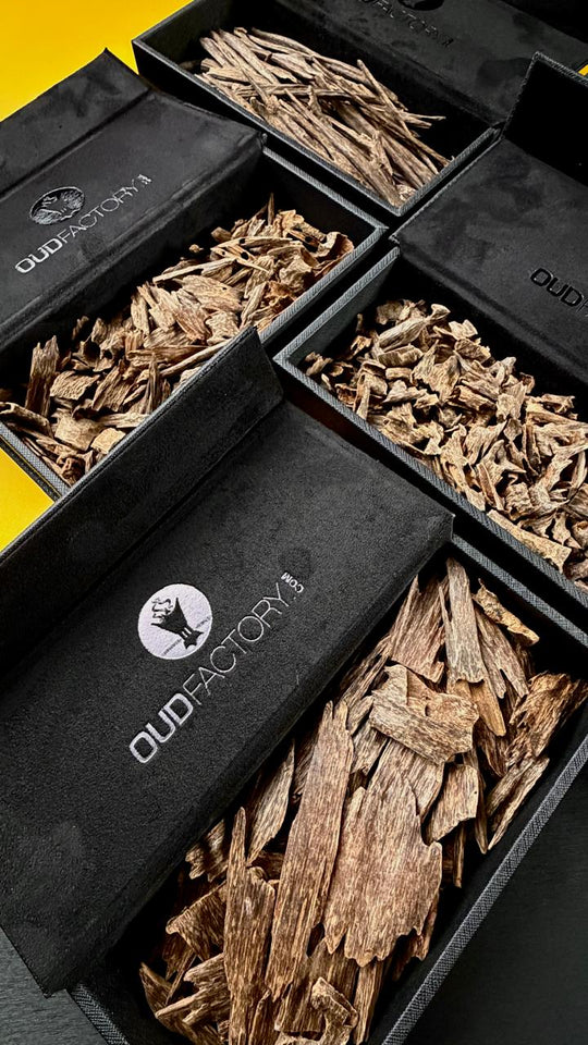5 Tola Wood Box