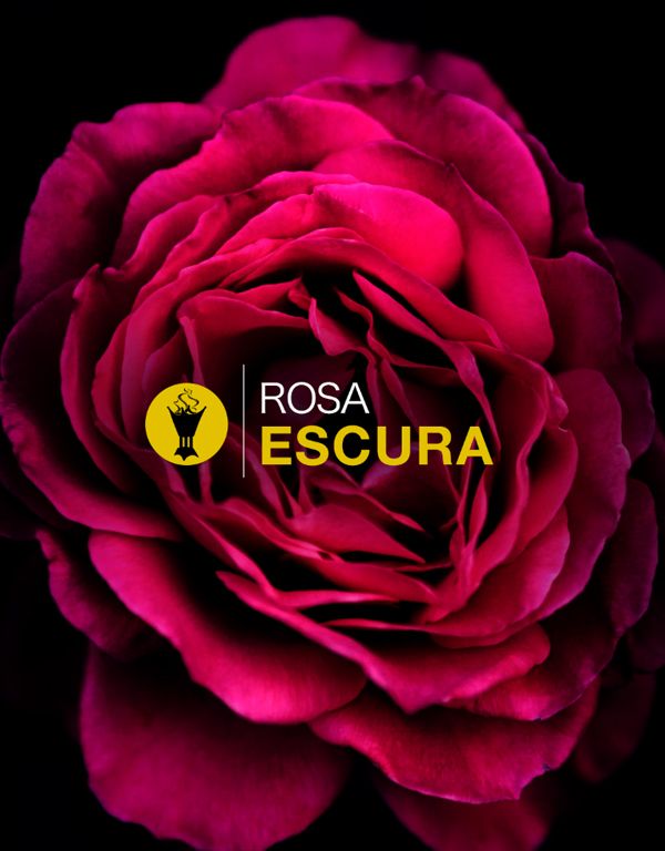 Rosa Escura Oil