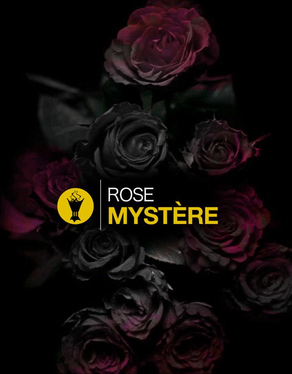 Rose Mystère